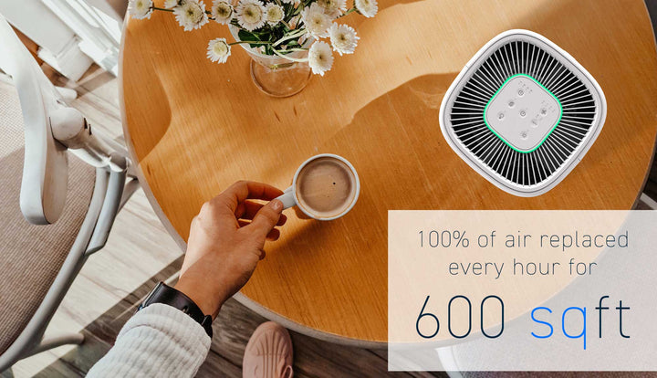 HSE600 Smart True HEPA Air Purifier