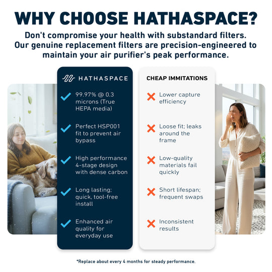 HSP001 Replacement Filter (H11 True HEPA)