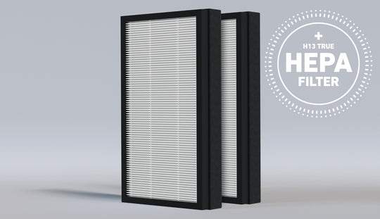 HSP003 Replacement Filter (H13 True HEPA)