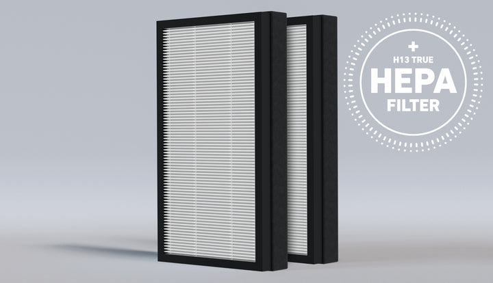 HSP003 Replacement Filter (H13 True HEPA)